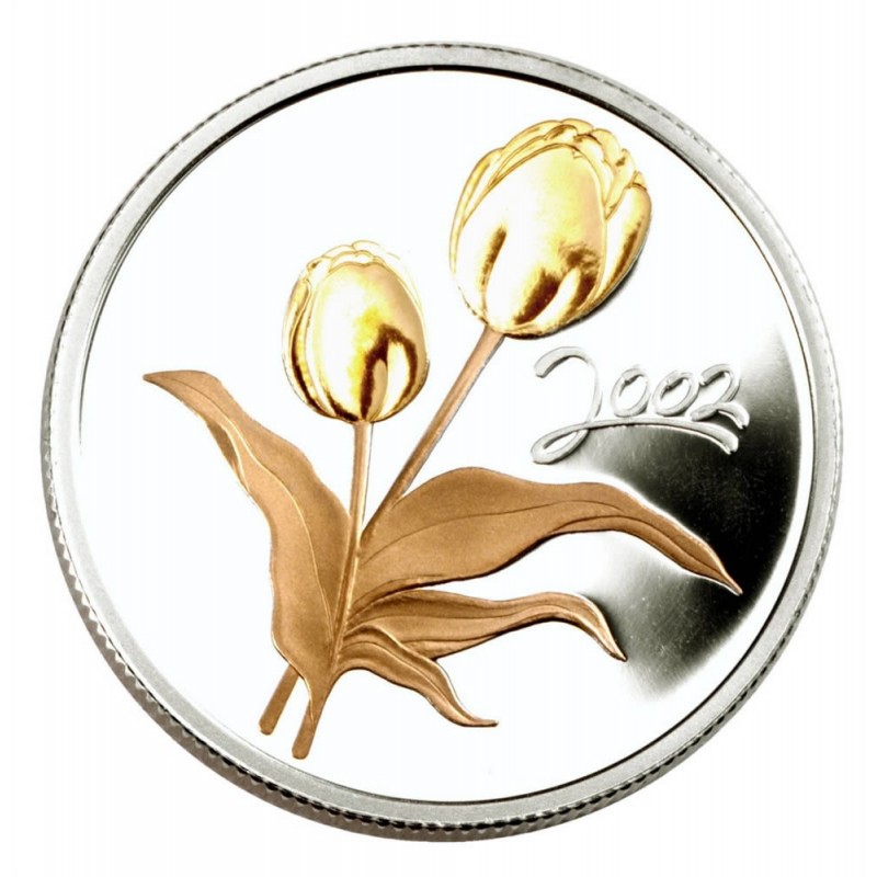 tulip coin